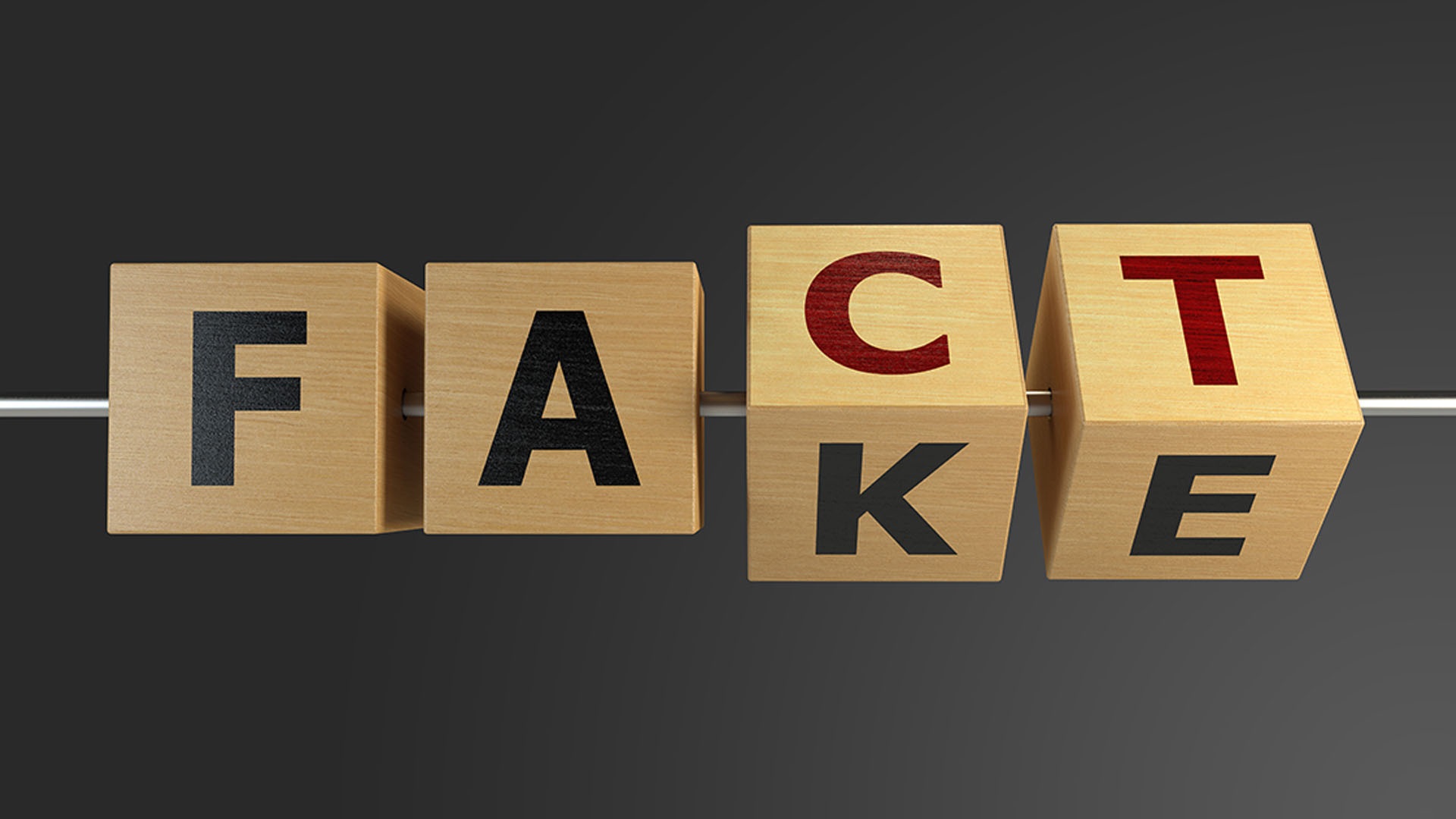 Elezioni politiche e disinformazione