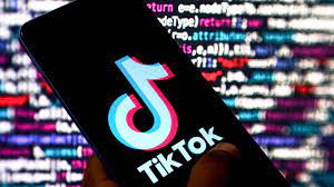 Il Copasir indaga su TikTok