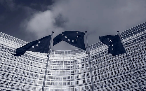 ProtectEU: l’approccio europeo alla sicurezza interna elezioni-europee.